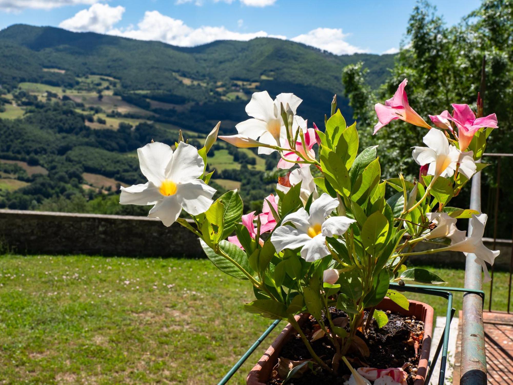 Agriturismo Villaggio Eden Pieve Santo Stefano Bagian luar foto